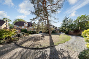 Communal Grounds- click for photo gallery